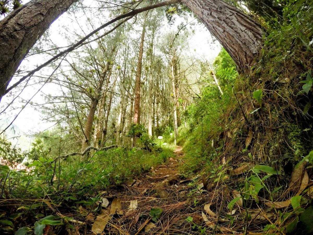 ホテル Ulbilla Hosteria Ulba エクステリア 写真